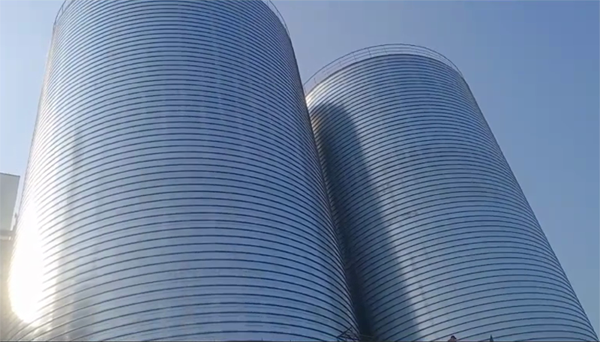 朗县2座混凝土高架卷板仓